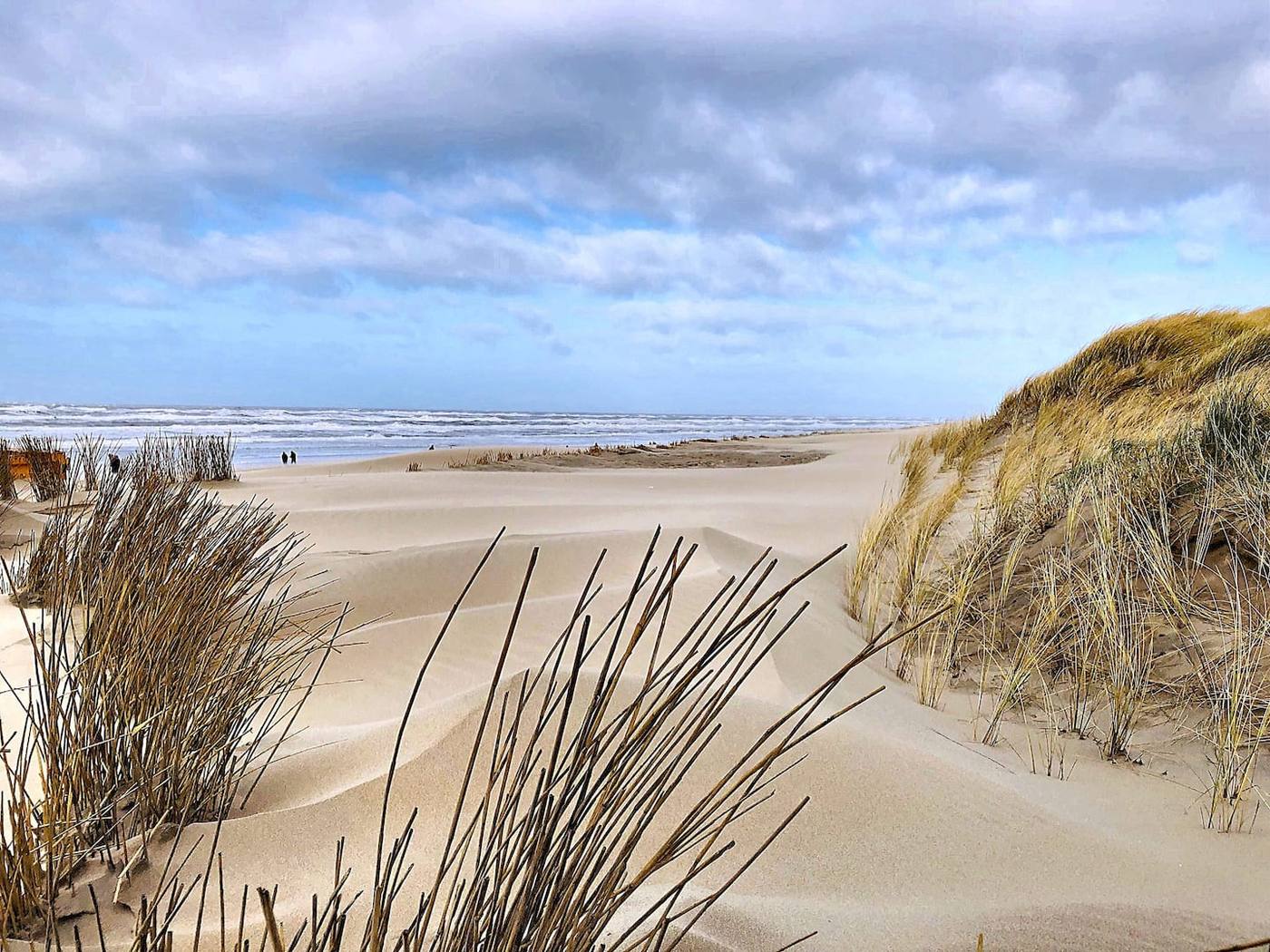 De kust bij Egmond aan Zee