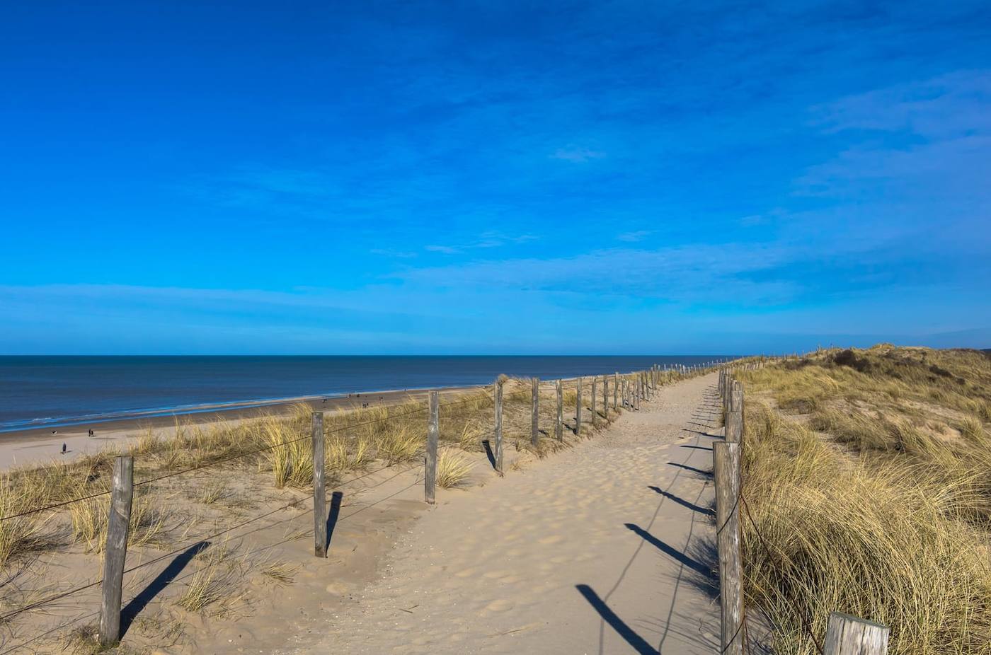 Duinpad naar het strand