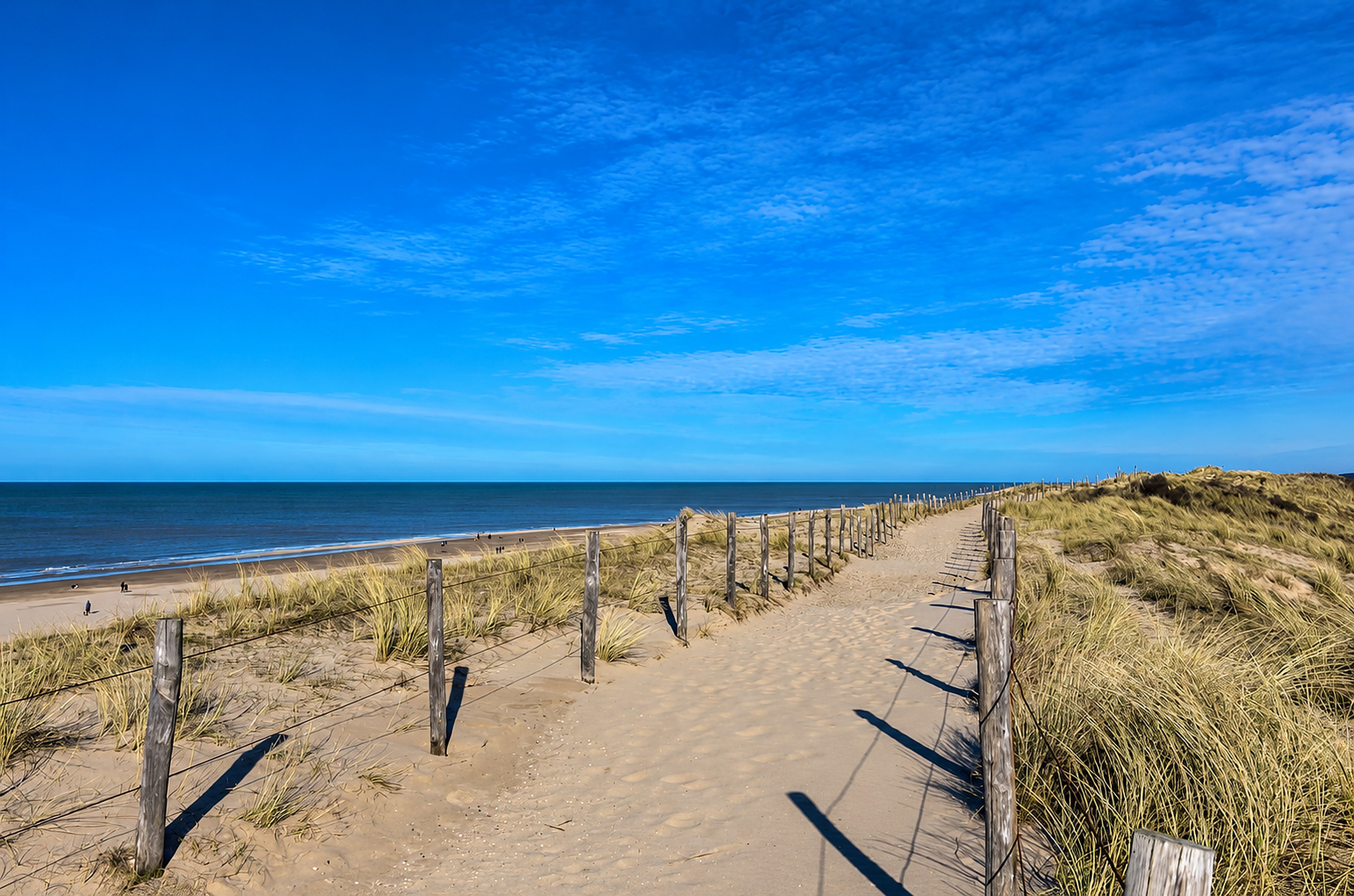 Duinen en strand bij Egmond aan Zee