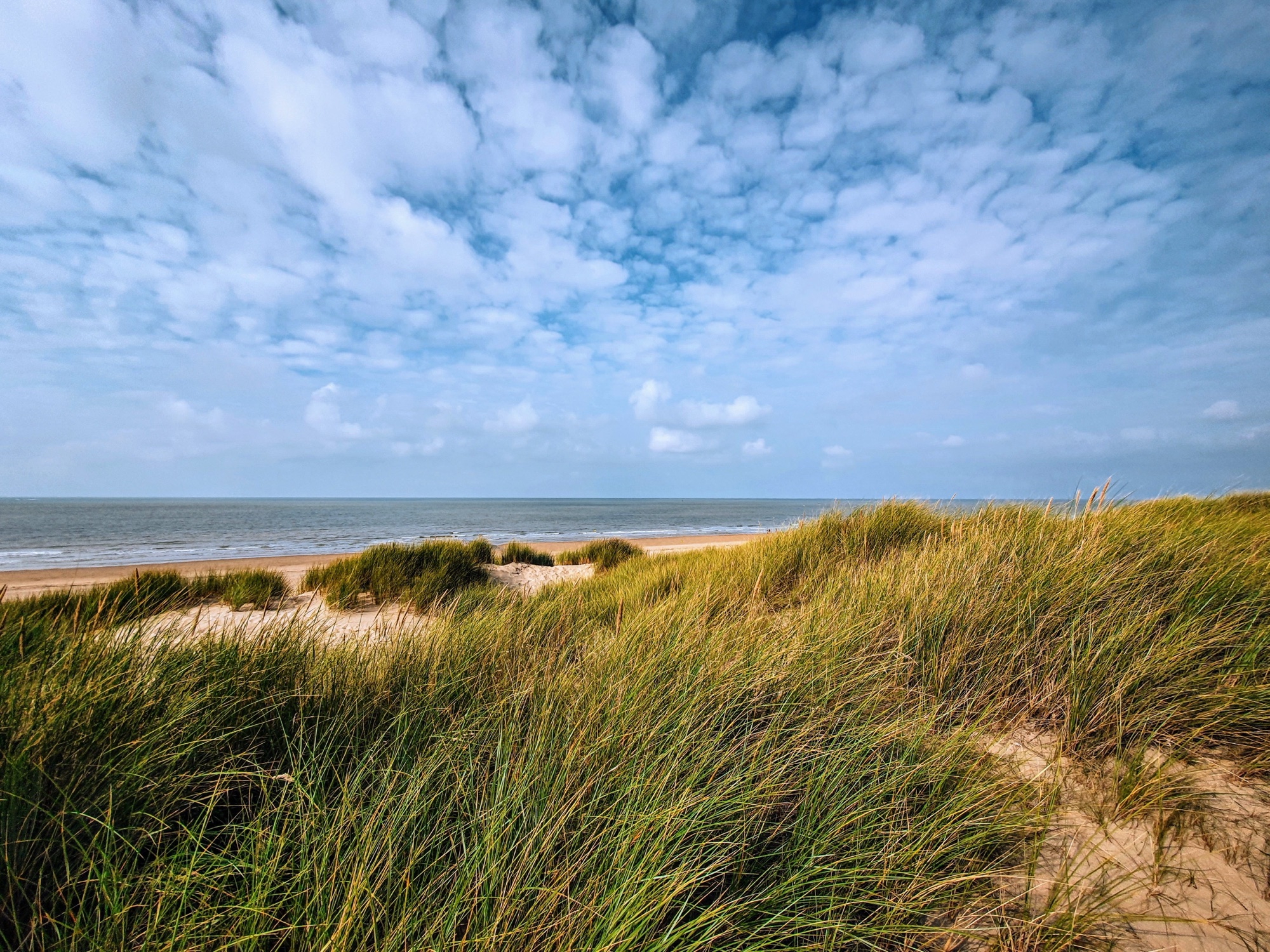 Duinen en zee bij Egmond