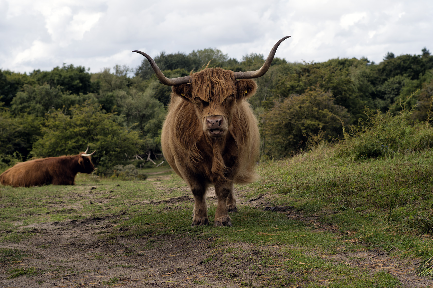 Noordhollands Duinreservaat