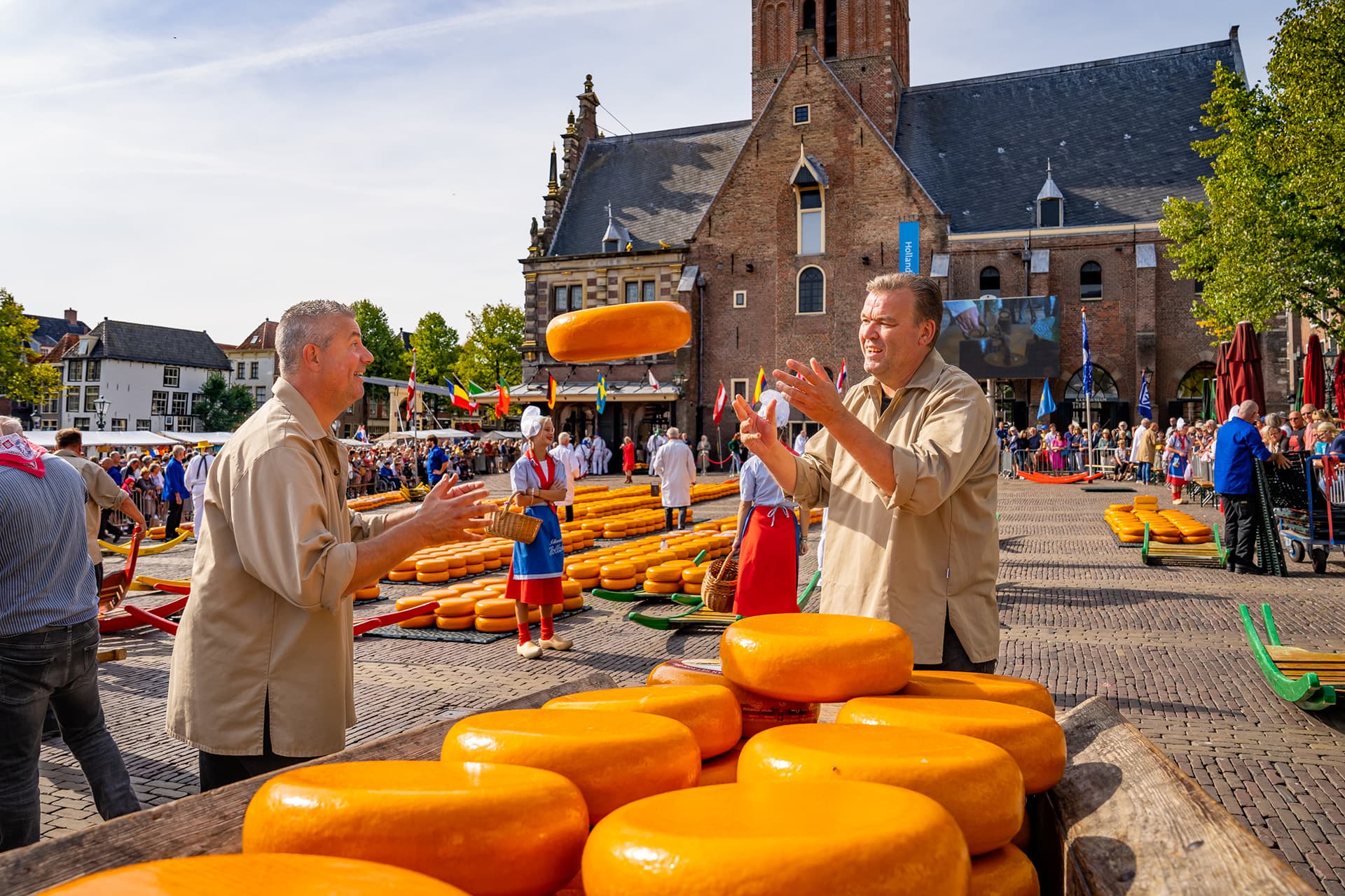Kaaswerpers op de kaasmarkt in Alkmaar